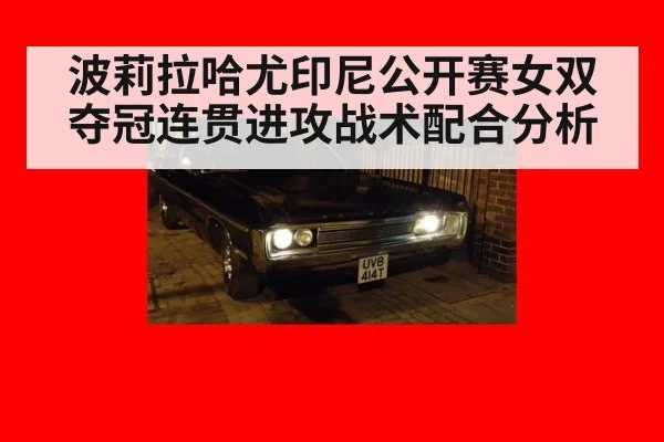 波莉拉哈尤印尼公开赛女双夺冠连贯进攻战术配合分析 - jiuyouhui